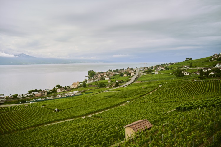 Vaud