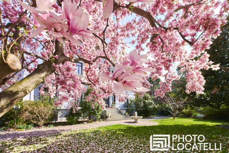 Primavera a Bellinzona